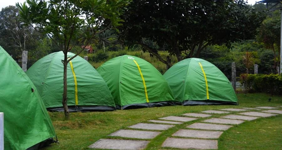 Misty Camping